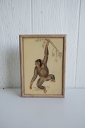 Vintage Terra Graphics Wooden Trinket Box – Chimpanzee Art Tile Lid